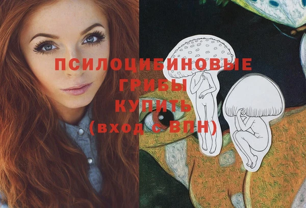 хмурый Алексин