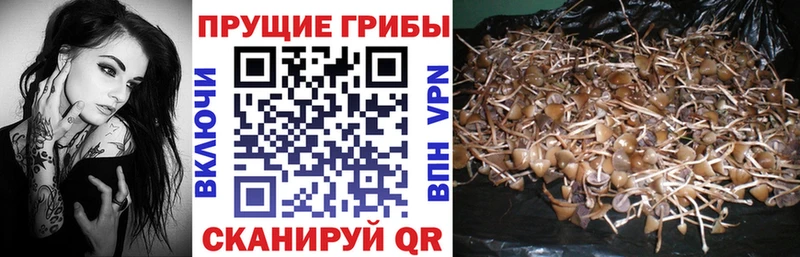 shop телеграм  Черепаново  Галлюциногенные грибы мухоморы  закладки 